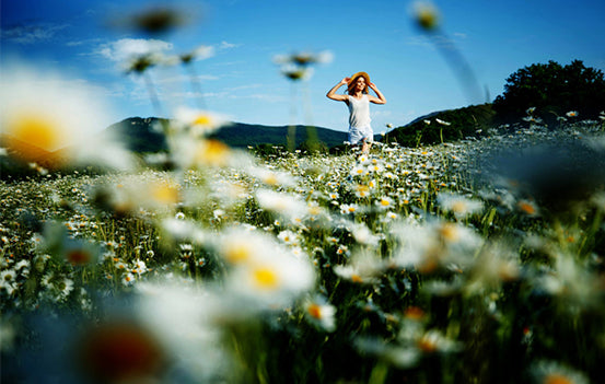 NOLASAPS 未病改善アカデミー コンセプト画像